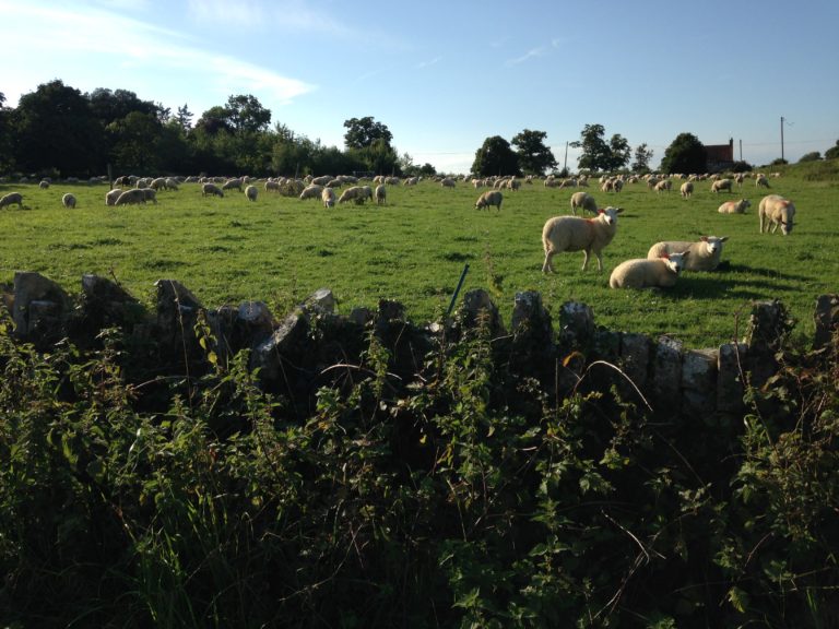 Summer holiday English courses in Britain