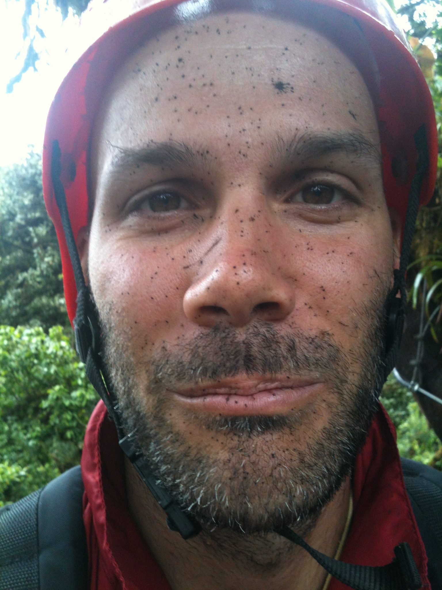 language for polite criticism and softening for English learners