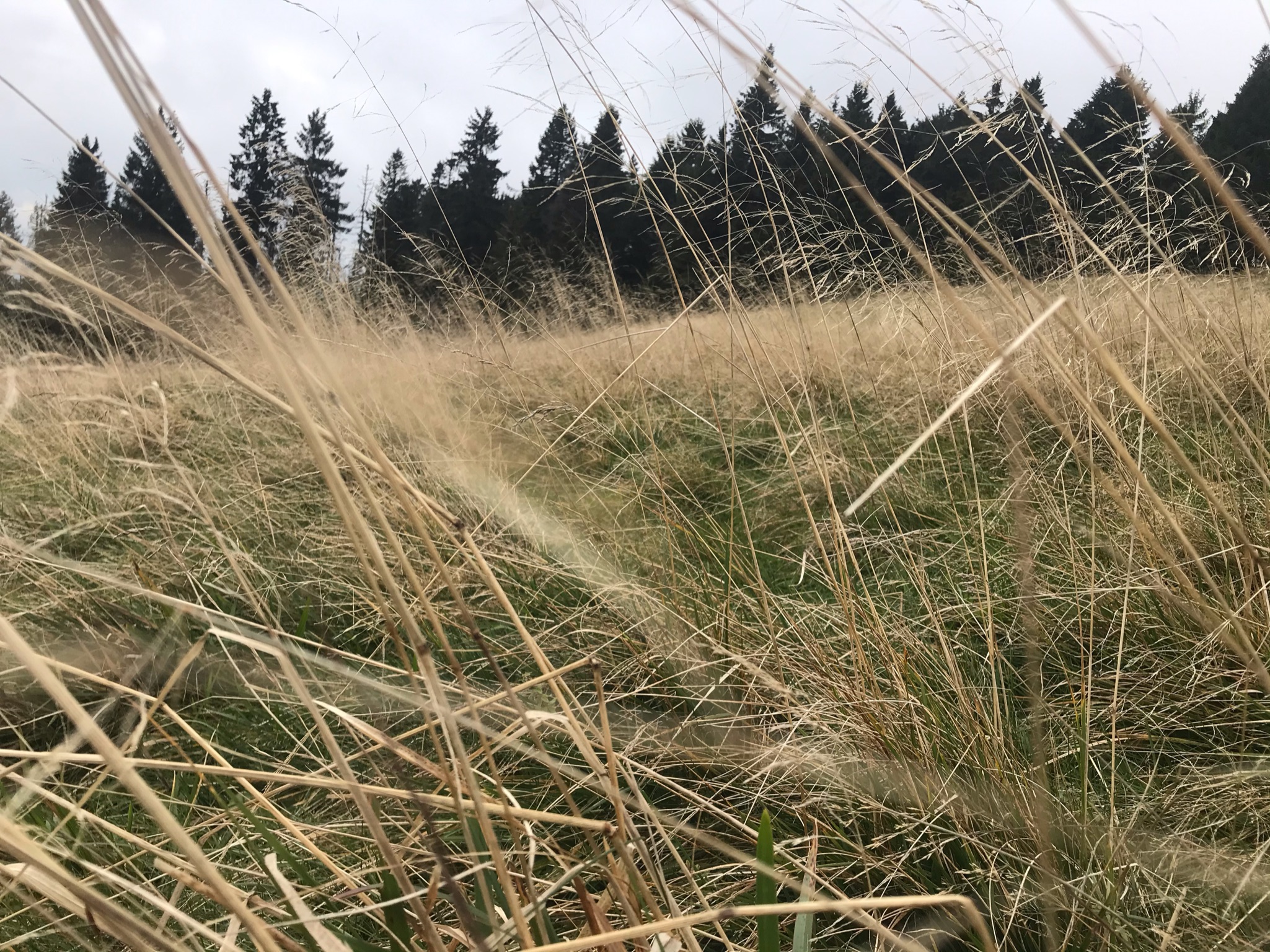 What do you know for sure